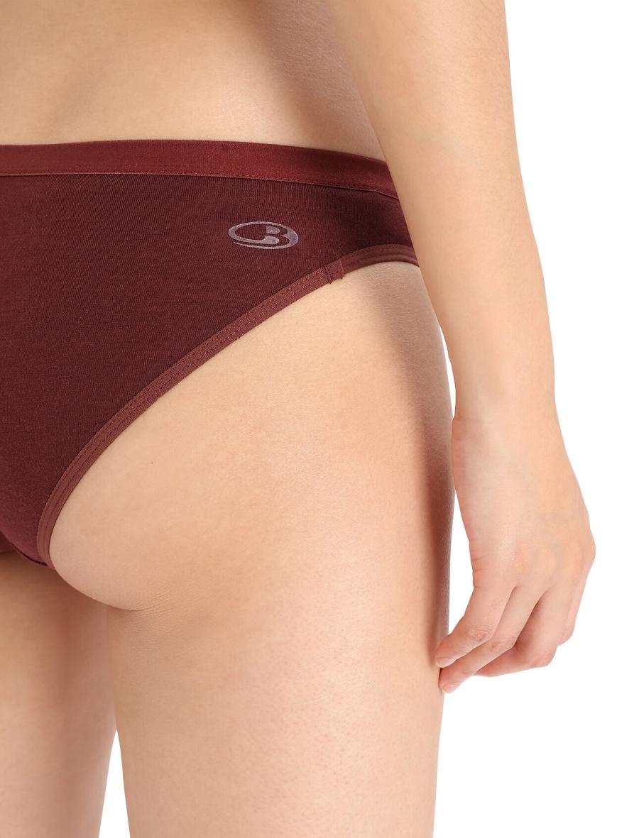 Espresso Icebreaker Merino Siren Bikini Briefs Women's Underwear | AU 1717GSOL